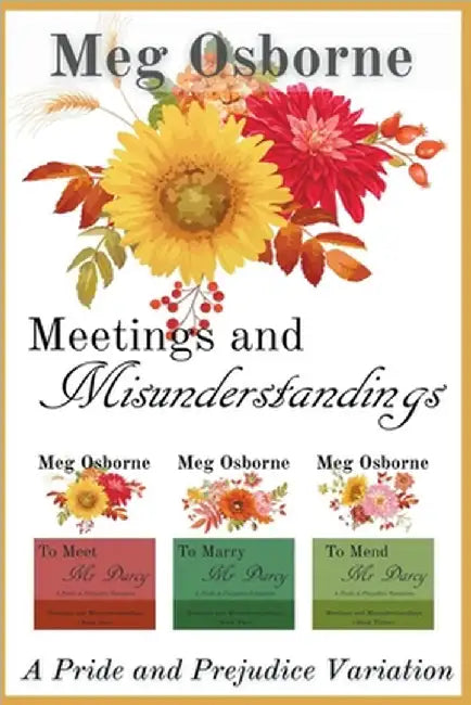 Meetings and Misunderstandings by Osborne, Meg