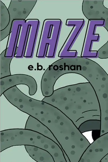 Maze by Roshan, E. B.