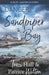 Danger at Sandpiper Bay by Traci Hall