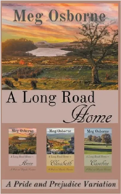A Long Road Home by Meg Osborne