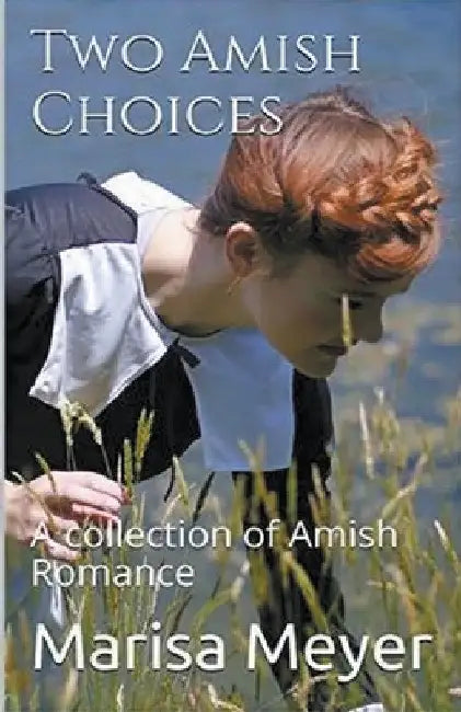 Two Amish Choices by Marisa Meyer