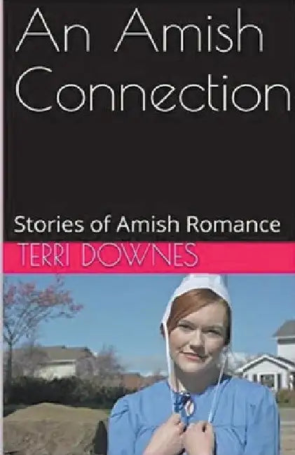 An Amish Connection by Terri Downes