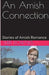 An Amish Connection by Terri Downes