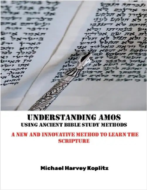 Understanding Amos by Koplitz, Michael Harvey