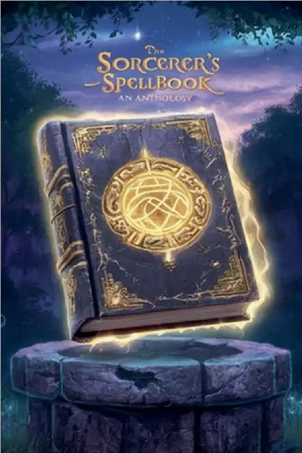 The Sorcerer's Spellbook by Davis, Sarah Elizabeth