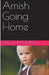Amish Going Home by Erica Fanning