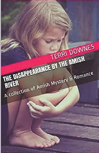 The Disappearance By The Amish River by Terri Downes