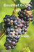 Gourmet Grape Jam by Maria, Jose