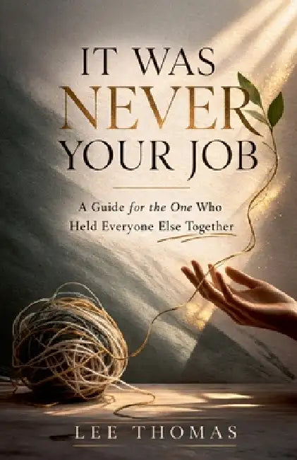 It Was Never Your Job by Daniel Mercer