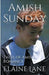 Amish Sunday by Elaine Lane