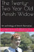 The Twenty-Two Year Old Amish Widow by Sarah Amberson