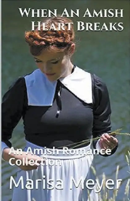 When An Amish Heart Breaks by Marisa Meyer