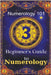 Numerology 101 Beginner's Guide to Numerology by Daniel Sanjurjo