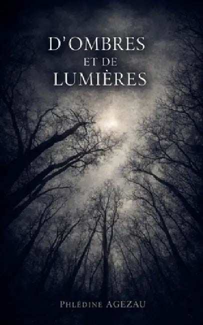 D'Ombres Et de Lumieres by Phlédine Agezau