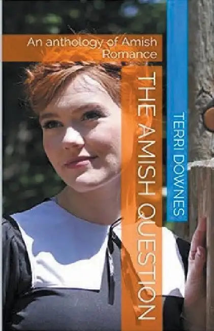 The Amish Question by Terri Downes