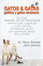 GATOS & GATAS gatitos y gatos ancianos by Smith, John