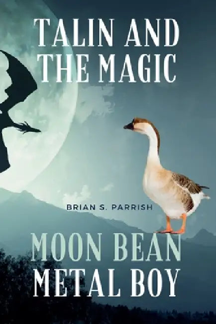 Talin and the Magic Moon Bean Metal Boy by Brian S. Parrish