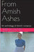 From Amish Ashes An Anthology of Amish Romance by Terri Downes