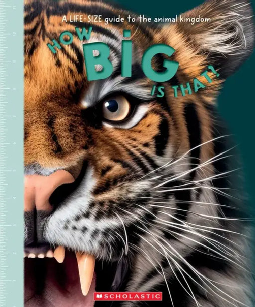 How Big Is That? a Life-Size Guide to the Animal Kingdom by Tom Jackson