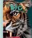 How Big Is That? a Life-Size Guide to the Animal Kingdom by Tom Jackson