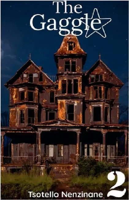 The Gaggle Book 2 by Tsotello Nenzinane