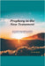 Prophecy in the New Testament by Taylor, Jim