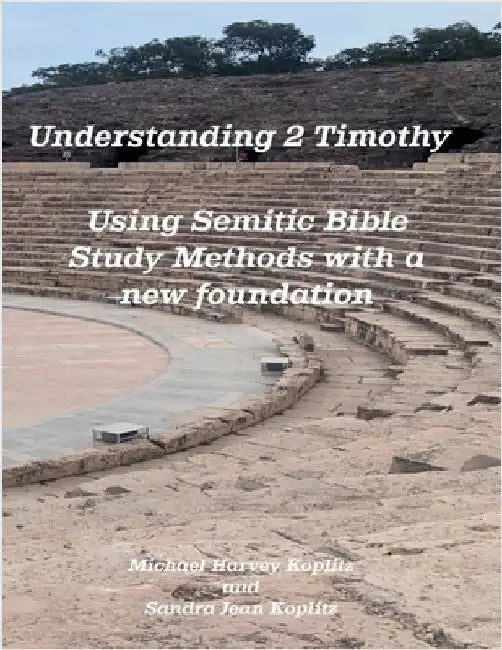 Understanding 2 Timoty by Koplitz, Michael Harvey