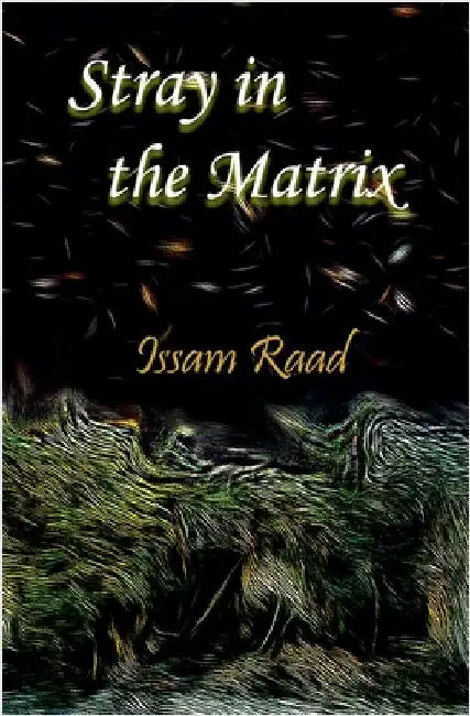Stray in the Matrix by Raad, Issam