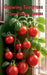 Growing Tomatoes in Small Home Spaces by Kavit Anjal