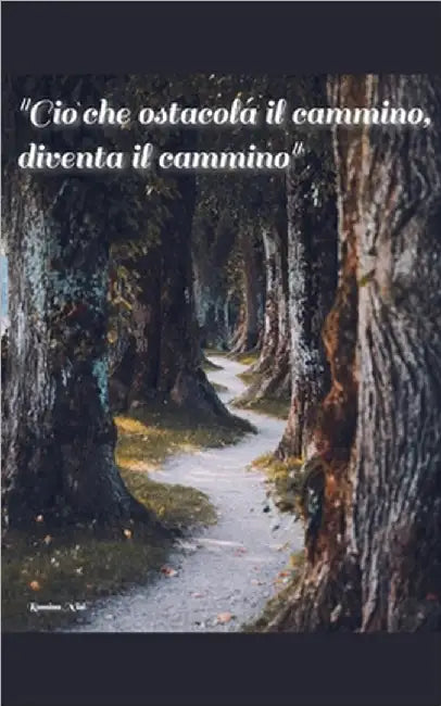 "Ciò che ostacola il cammino, diventa il cammino" by Romina Nisi