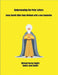 Understanding the Peter Letters by Koplitz, Michael Harvey