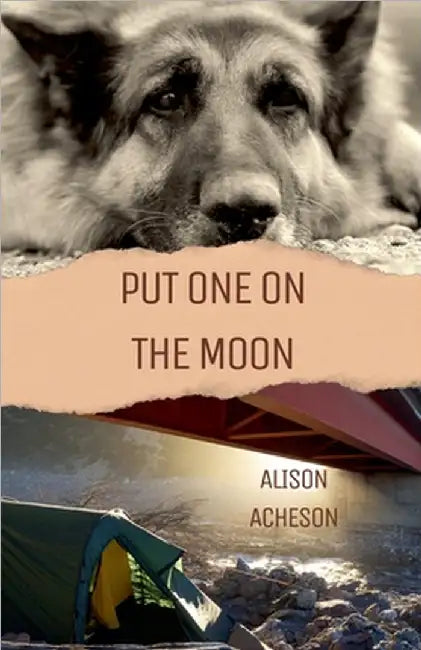 Put One On the Moon by Alison Acheson