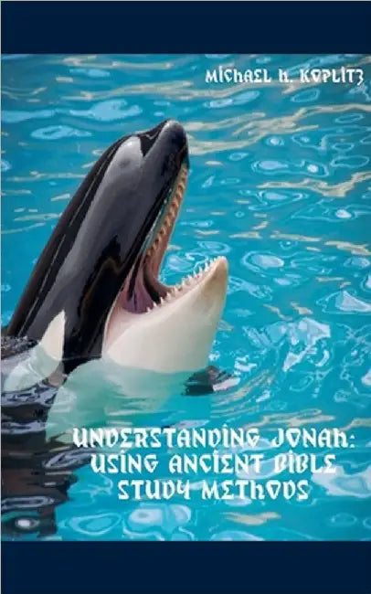 Understanding Jonah by Koplitz, Michael Harvey