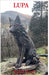 Lupa by Stephen Howells