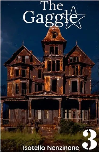The Gaggle Book 3 by Tsotello Nenzinane