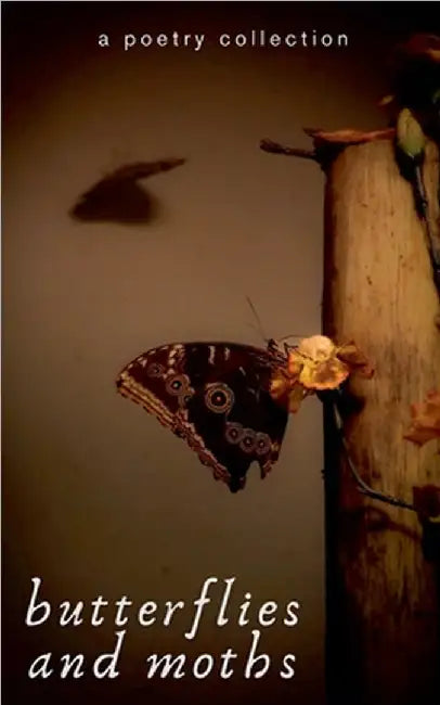 Butterflies and Moths by Anonymous