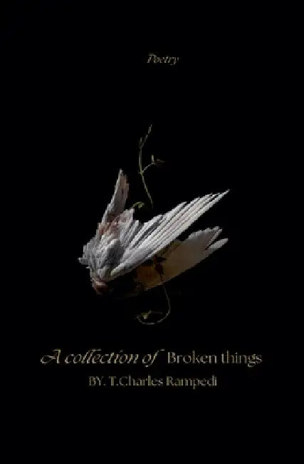 A Collection Of Broken Things by T. Charles Rampedi