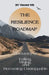 The Resilience Roadmap; A Journey of Falling, Rising, and Becoming Unstoppable by Vincent Wb