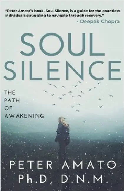 Soul Silence: The Path of Awakening by Dnm, Peter Amato