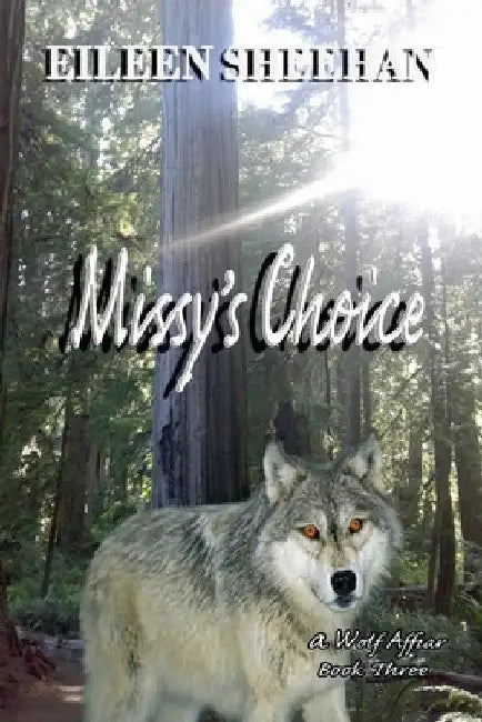 Missy's Choice by Eileen Sheehan