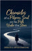 Chronicles of a Pilgrim Soul on his Path Under the Stars by Obdulio Arcadio Ortega Esquivias