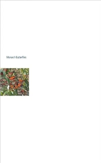 Monarch Butterflies by Jones, Stephen