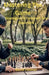 Mastering The Game: Strategies to outsmart any opponent by David A. Holman