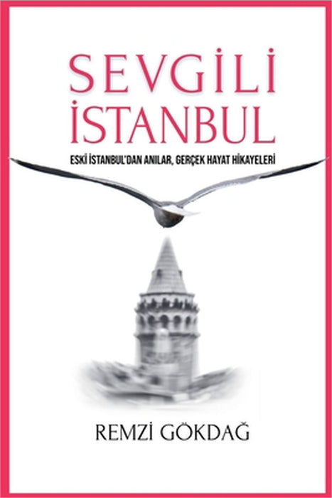 Sevgili İstanbul by Remzi Gökdağ