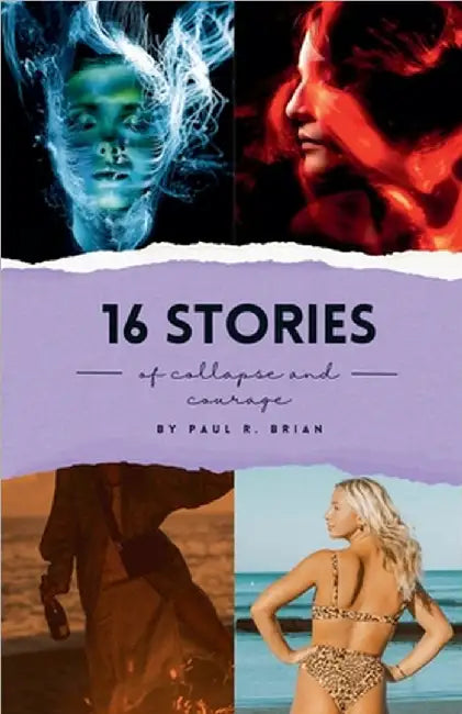 16 Stories of Collapse and Courage by Paul R. Brian