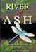 River of Ash by Suzanne Hendricks