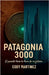 Patagonia 3000 by Eddy Martinez