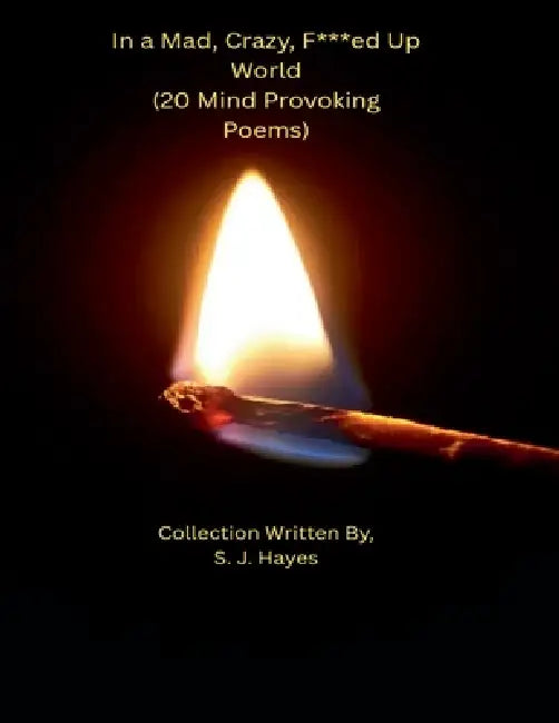 In a Mad, Crazy, F***ed Up World (20 Mind Provoking Poems) by S. J. Hayes