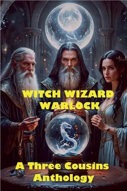 Witch Wizard Warlock by McConnell, Carol
