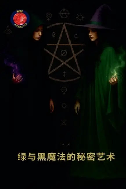 绿与黑魔法的秘密艺术 by Alina Rubi